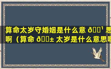 算命太岁守婚姻是什么意 🌹 思啊（算命 🐱 太岁是什么意思啊女生）